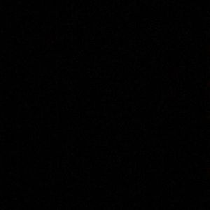 Meet your Posher, Bella